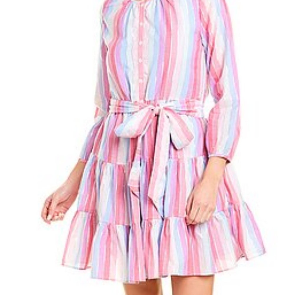 NWT J.Crew Veda Multicolored Striped Dress - Small - Picture 8 of 9
